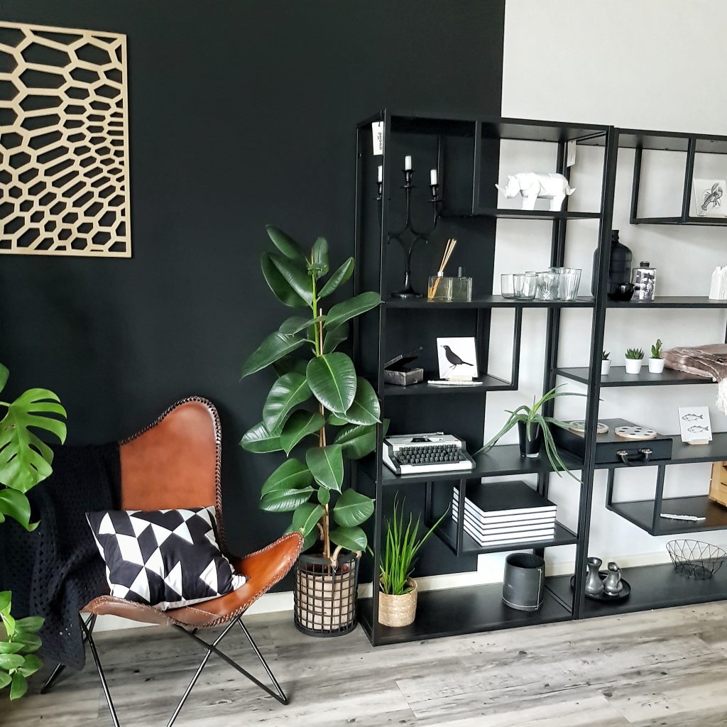 rubberplant verzorgen