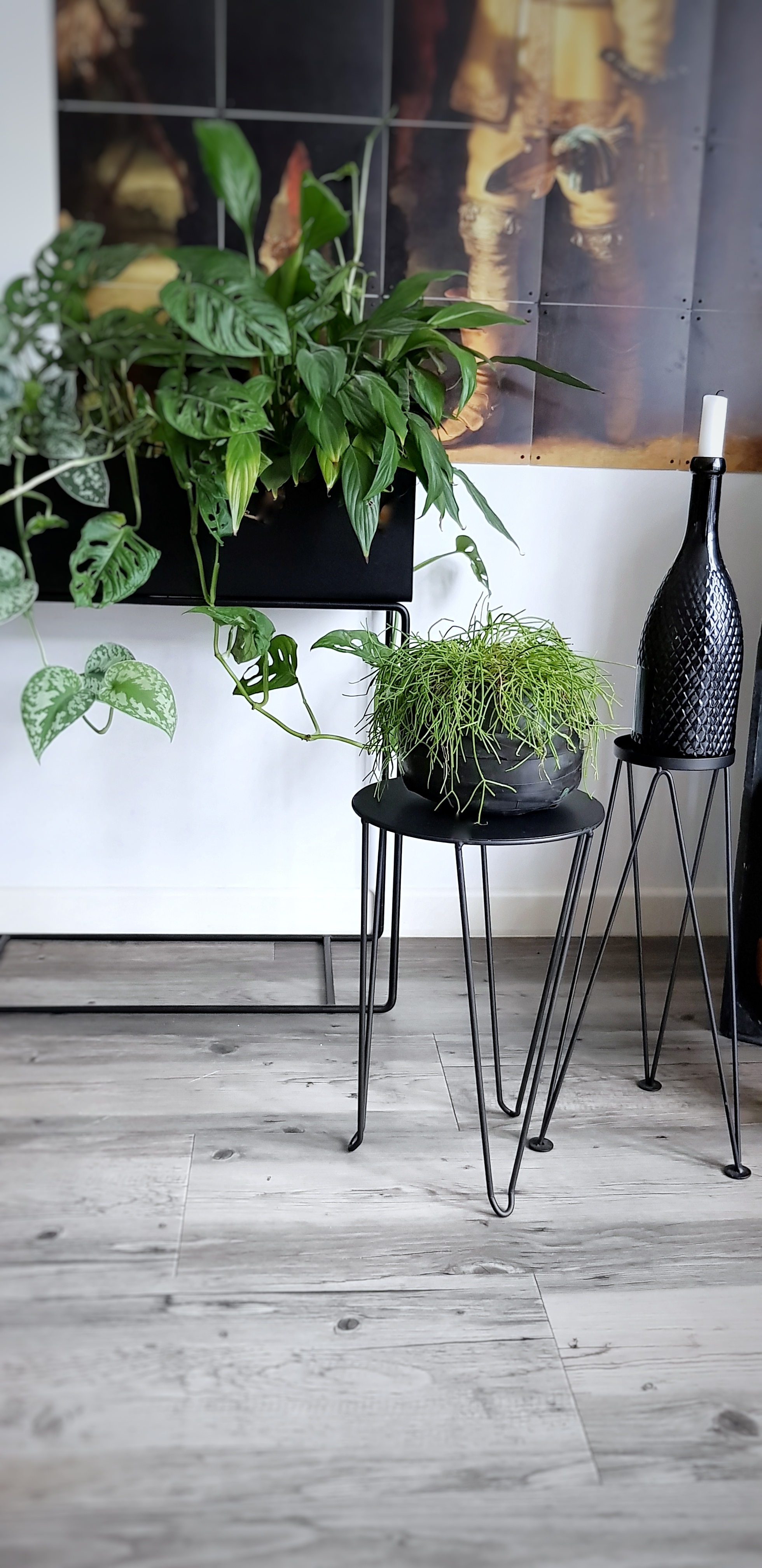 plantenstandaard