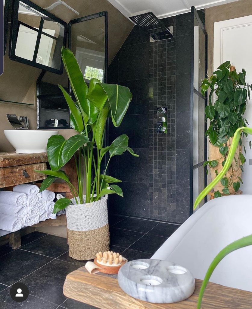 planten in de badkamer