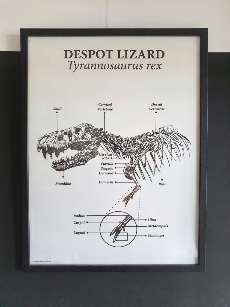 dino poster