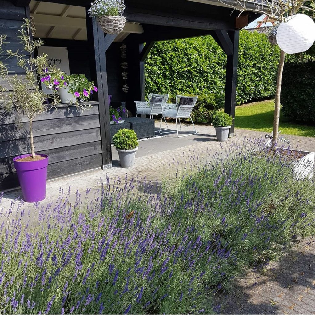 planten