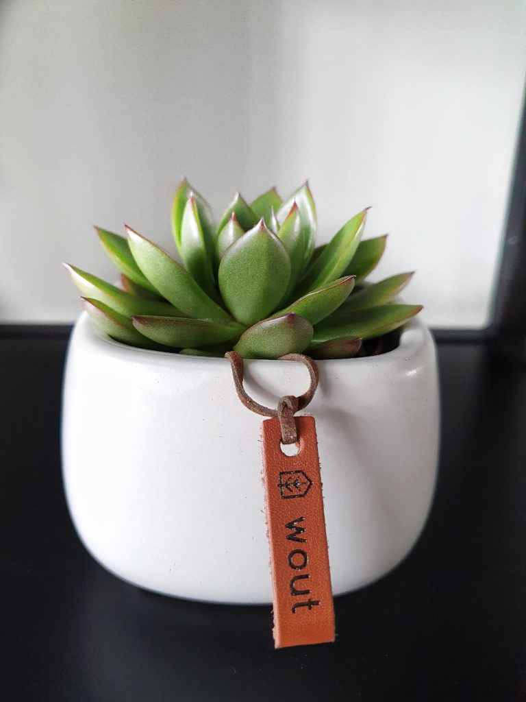 vetplant