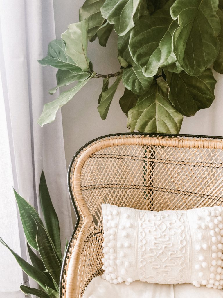 bamboe in je interieur