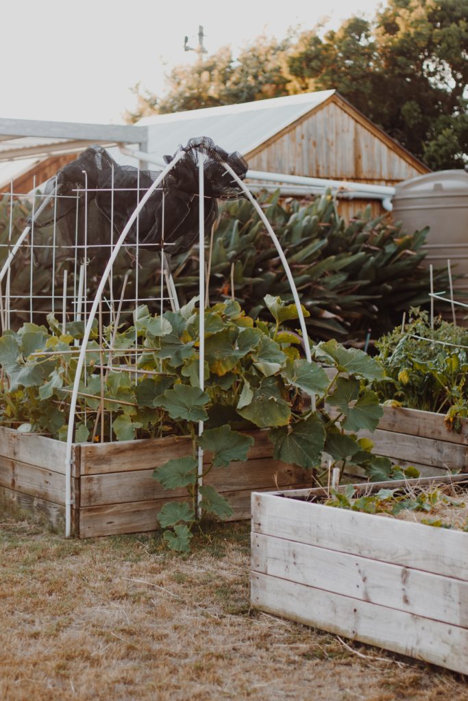 moestuin bakken